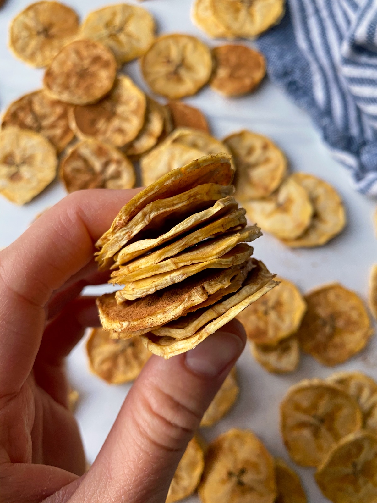 Easy-Vegan-Plantain-Chips