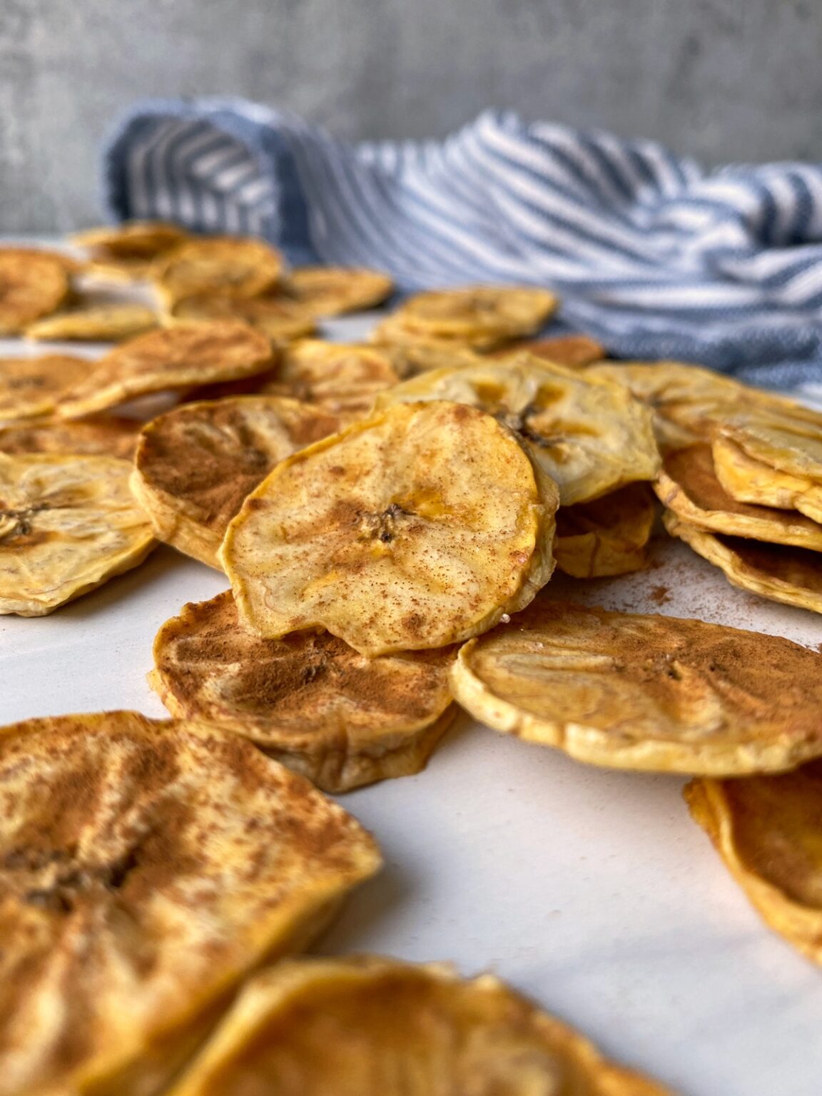 Dehydrated Plantain Chips (Paleo, Vegan, Whole30) - Bake It Paleo