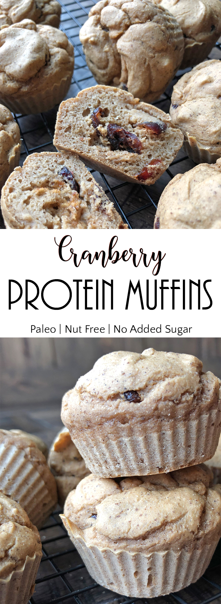 Paleo Cranberry Protein Muffins (3).jpg