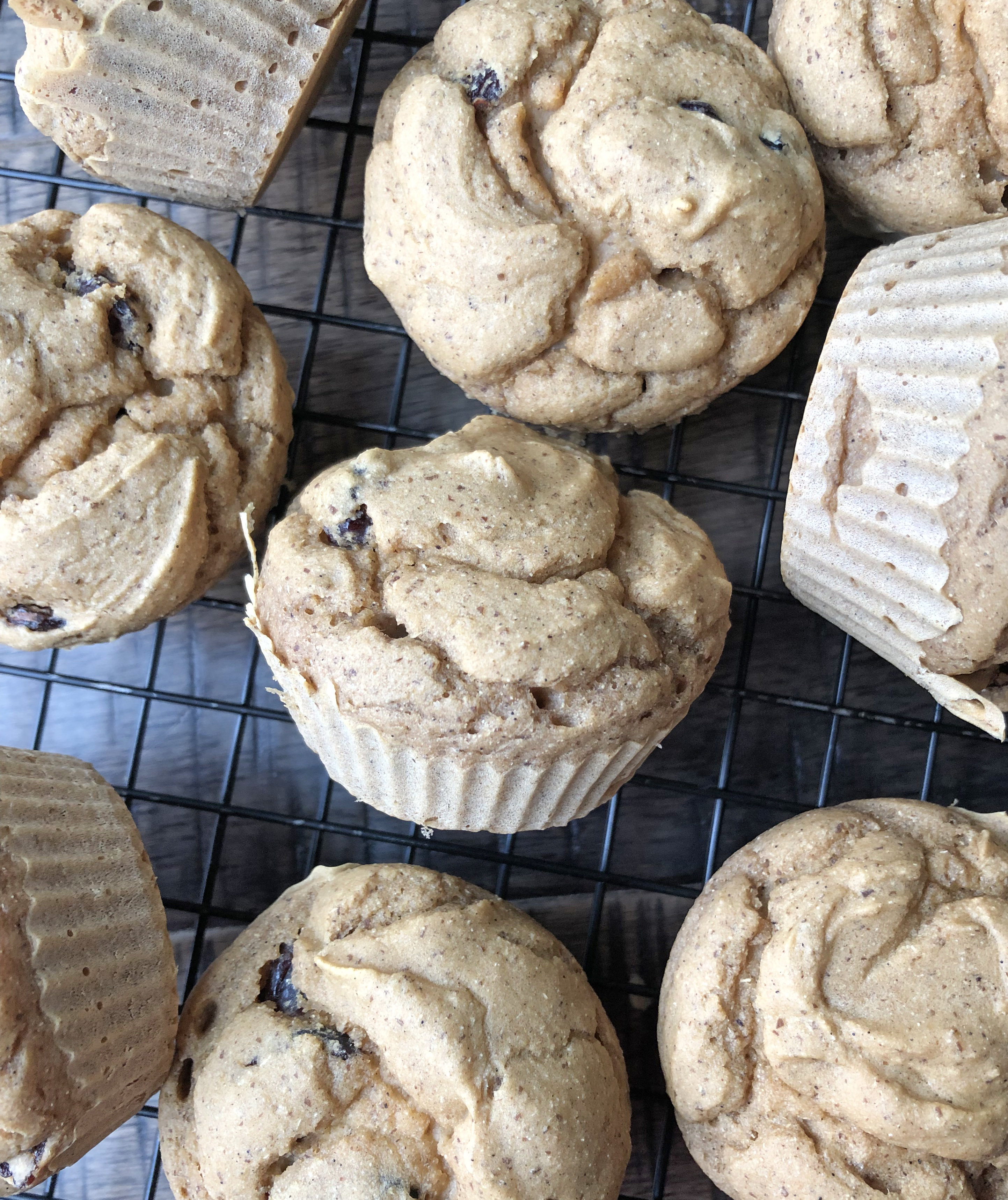 Paleo Protein Muffins