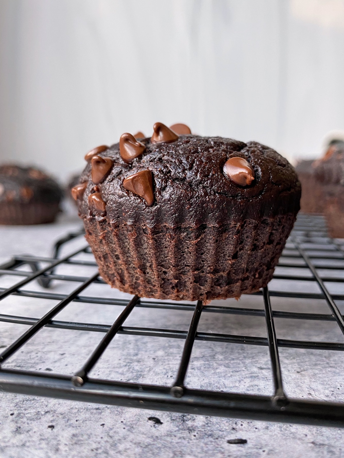 chocolate-mint-muffins