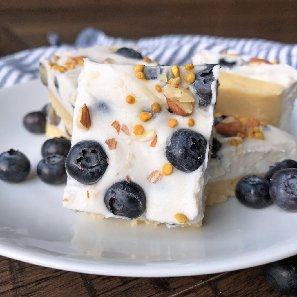 Keto No Bake Blueberry Cheesecake Bars