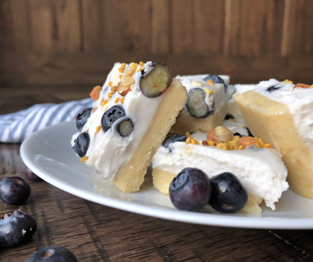 Dairy Free No Bake Blueberry Cheesecake Bars