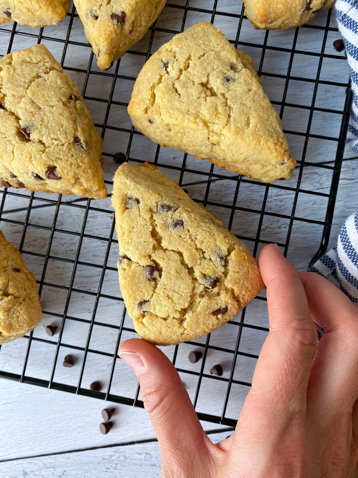 Grabbing-a-Chocolate-Chip-Scone