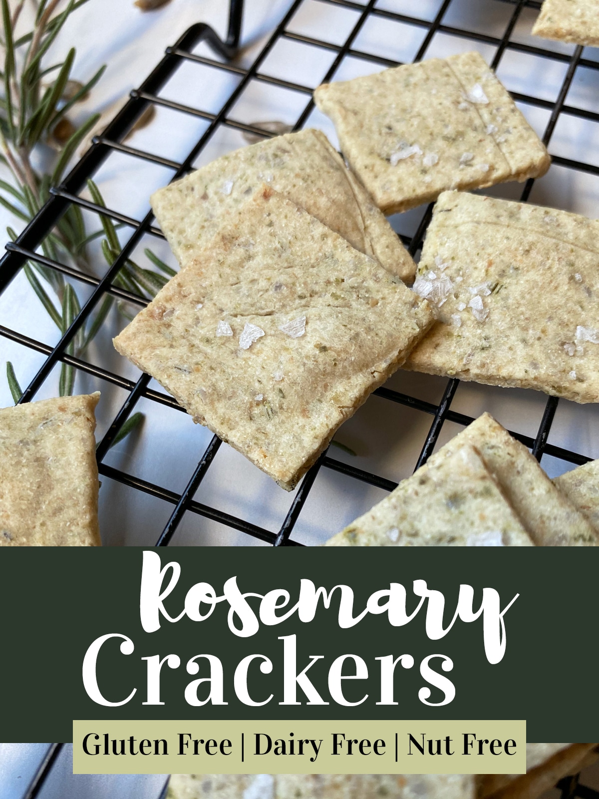 gluten-free-dairy-free-rosemary-cracker-recipe