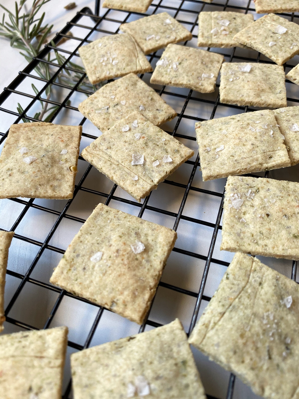 nut-free-paleo-crackers