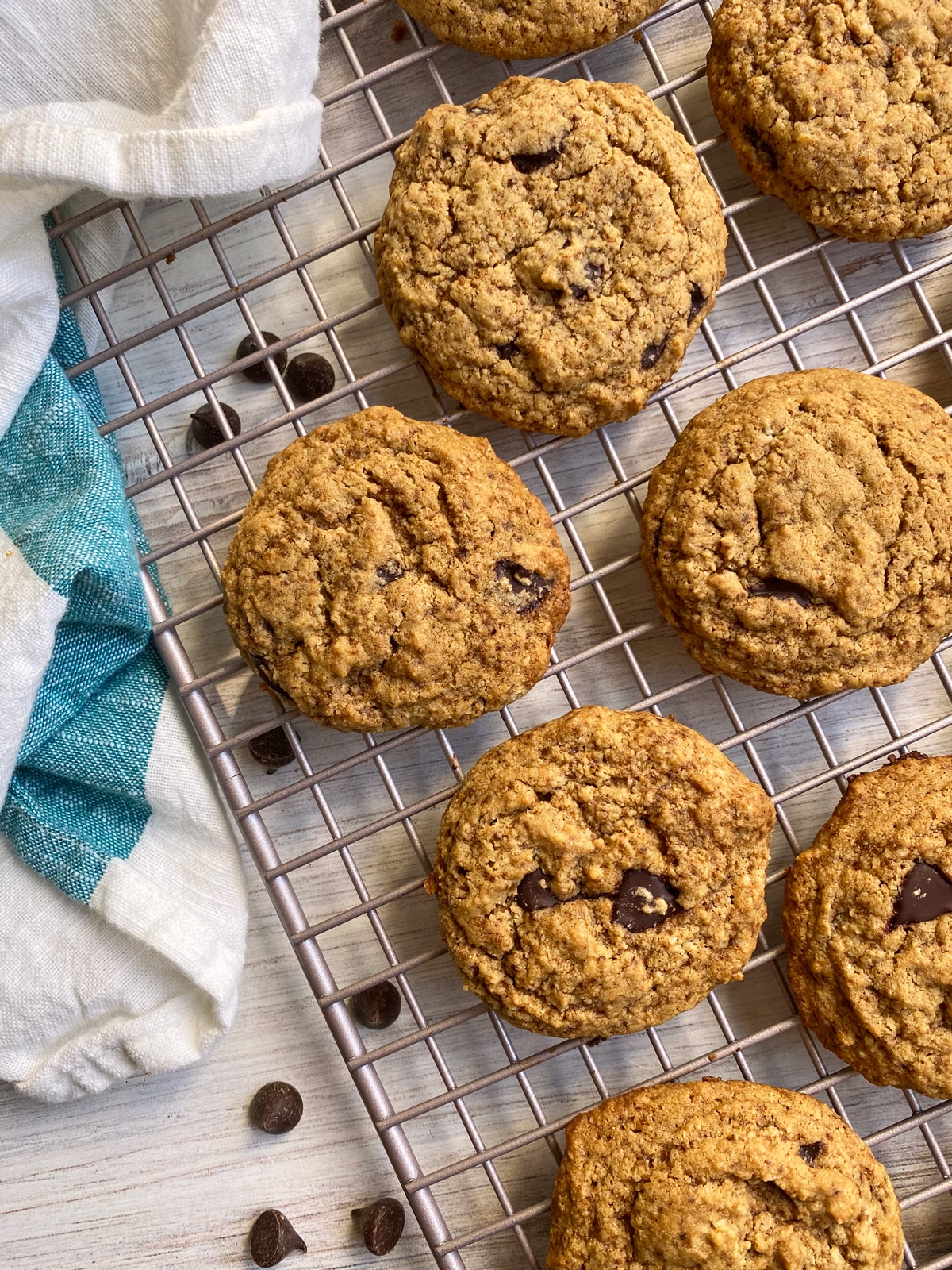 vanilla-protein-powder-chocolate-chip-cookies