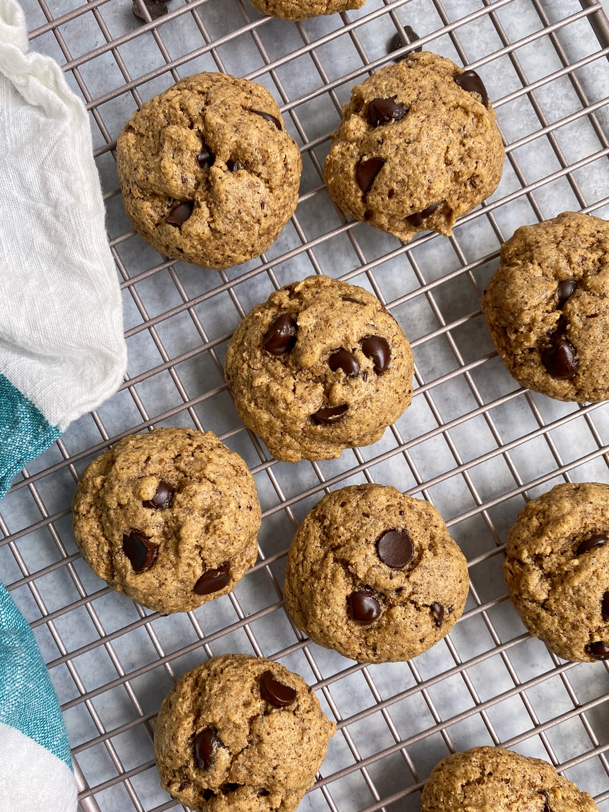 Nut-Free Chocolate Chip Cookies  Against All Grain - Delectable paleo  recipes to eat & feel great