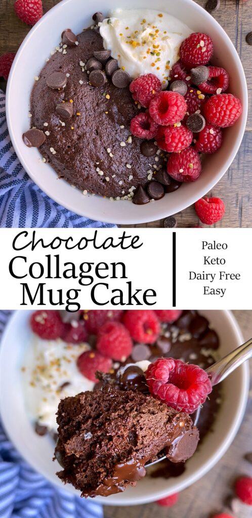 Chocolate Collagen Mug Cake (Paleo, Nut Free) - Bake It Paleo