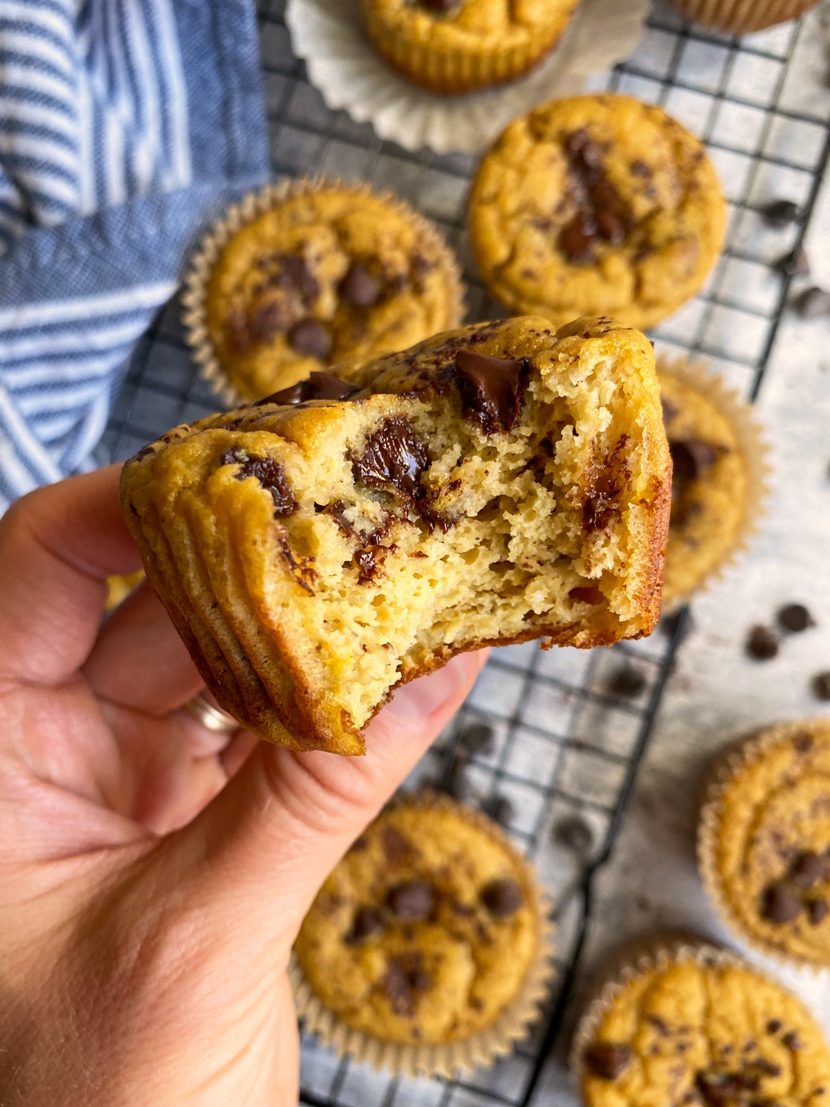 bit-of-chocolate-chip-protein-muffins