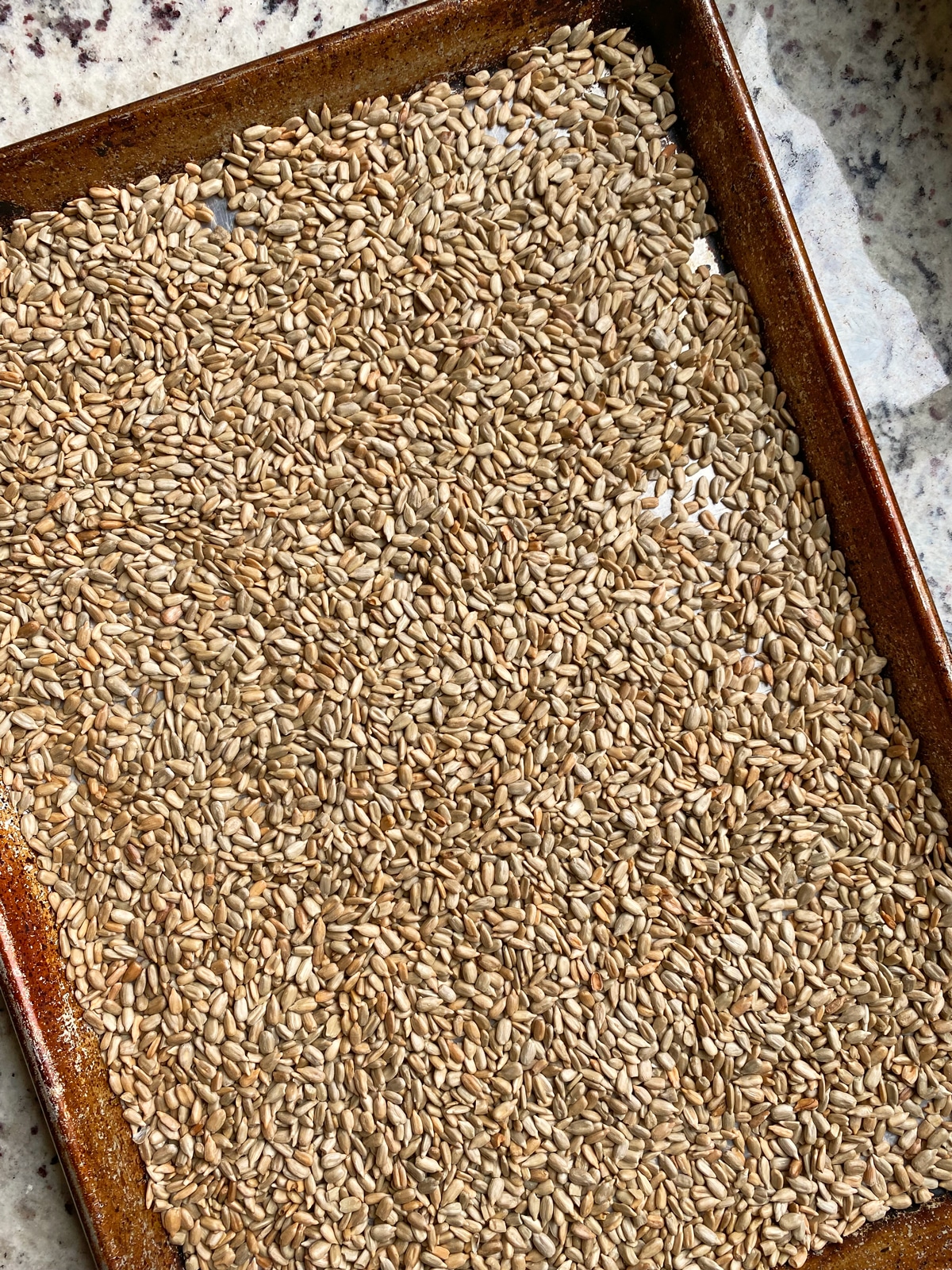 roasted sunflower seed on baking sheet