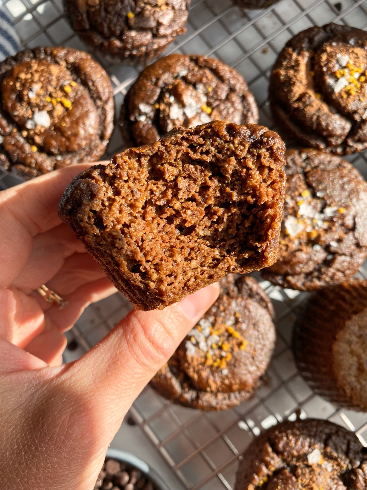 bite-of-chocolate-protein-muffins-with-pumpkin