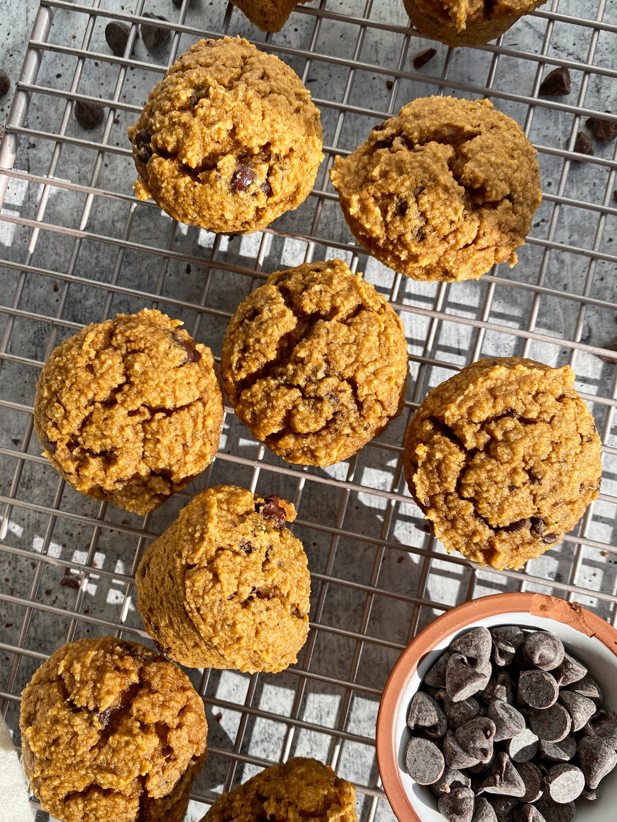 paleo-squash-muffins