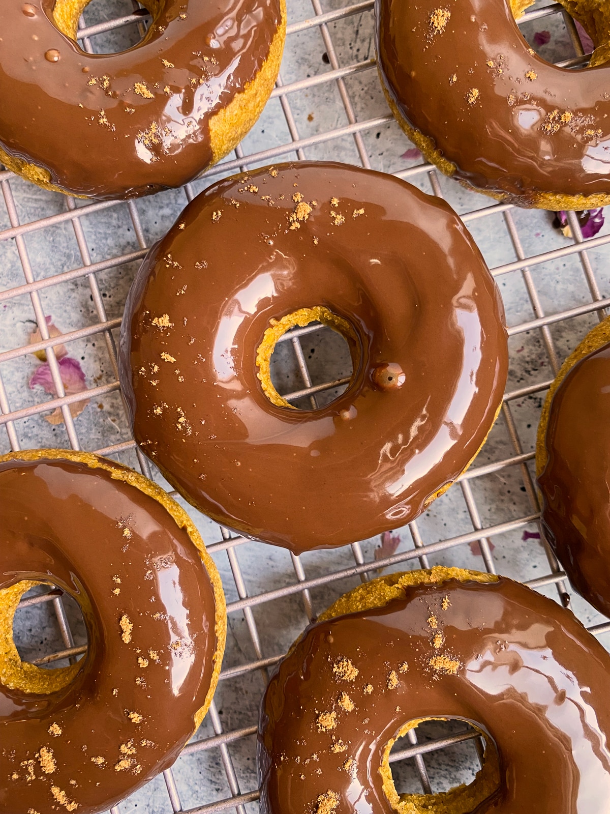 pumpkin protein donuts