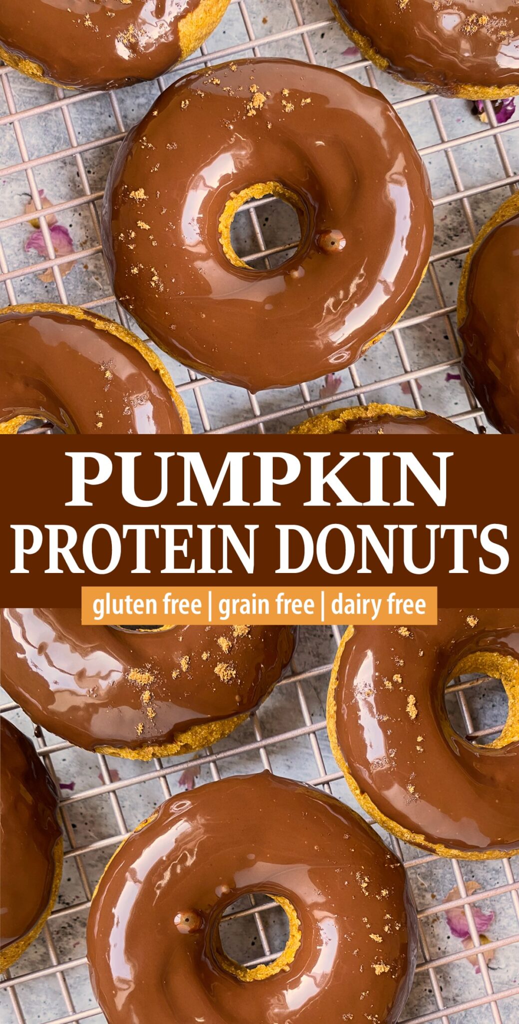 Pumpkin Protein Donuts (Gluten Free) Bake It Paleo