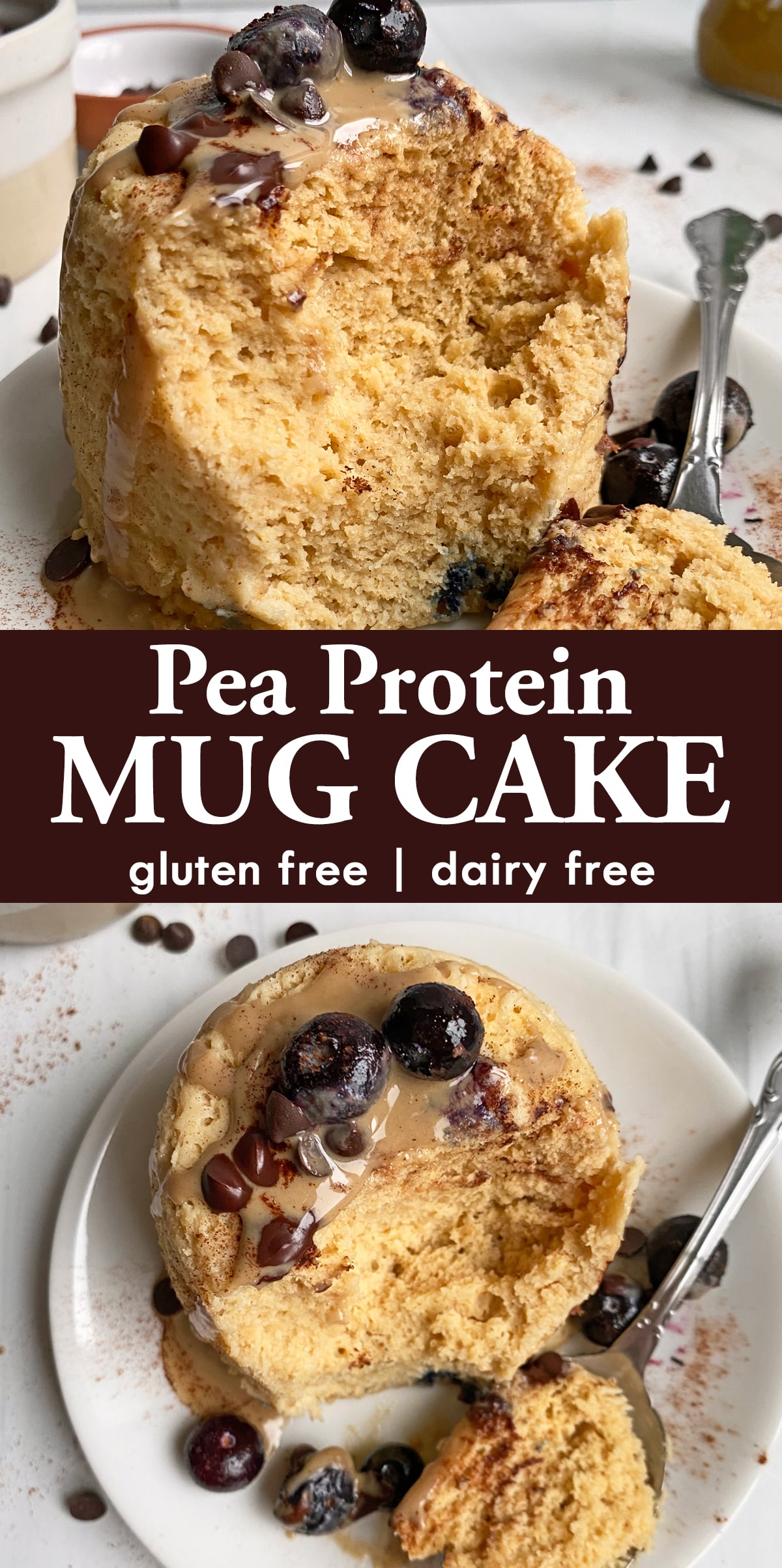 Vegan Chocolate Mug Cake - Elavegan