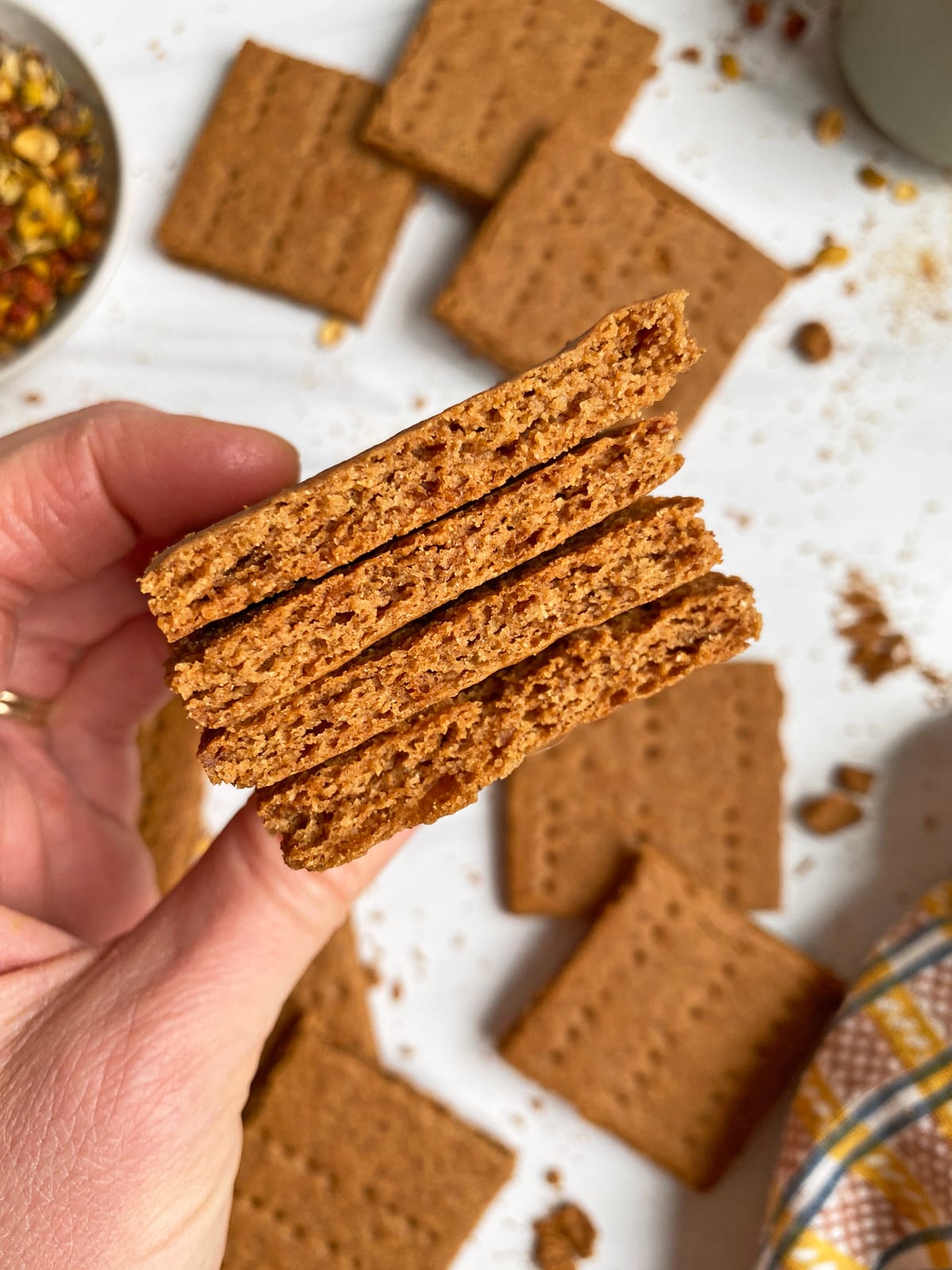 holding graham crackers to show the inner texture
