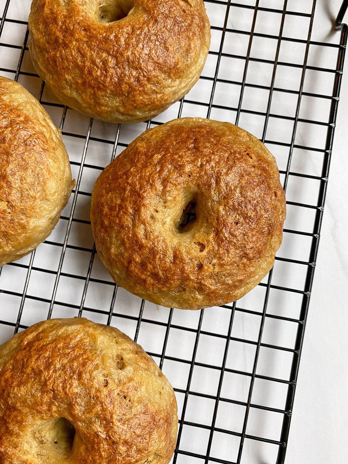 paleo bagels on cooling rack