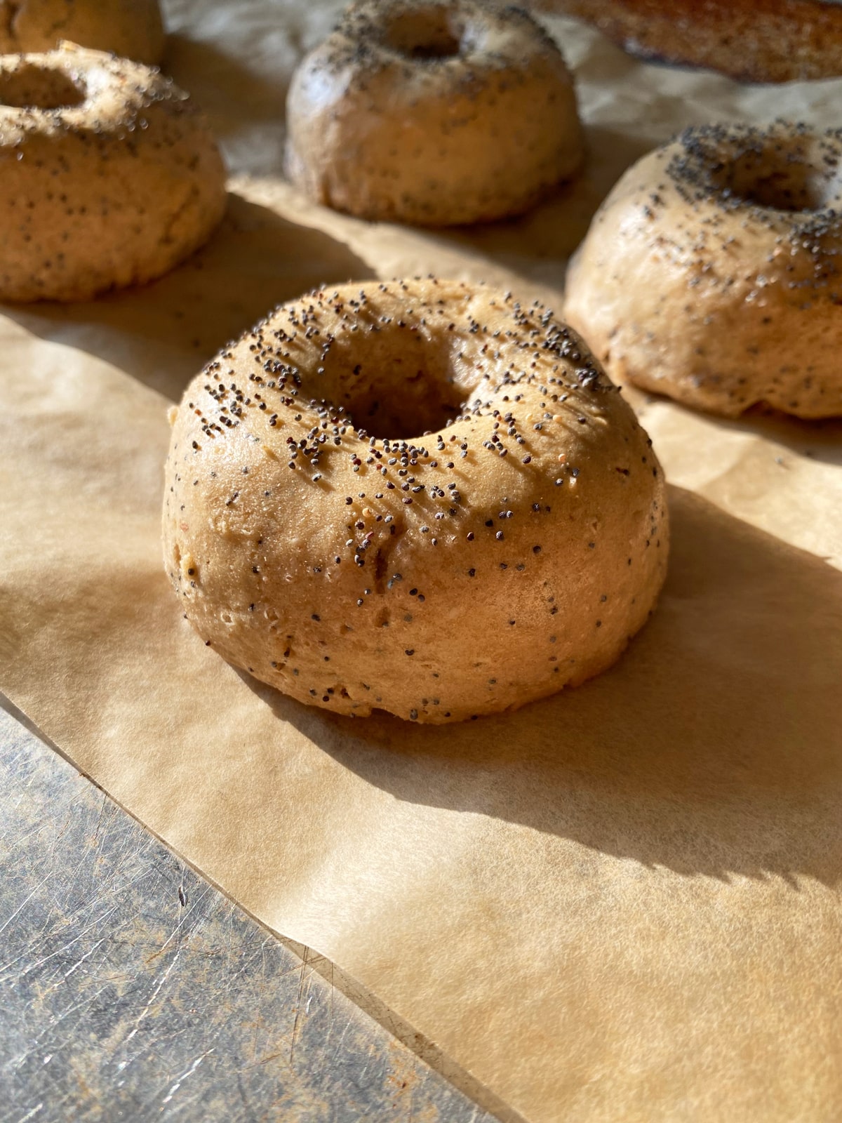 fresh baked poppy seed bagels