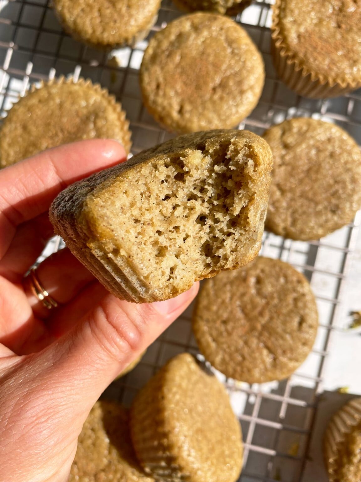 Hemp Protein Muffins (Gluten Free, Dairy Free) Bake It Paleo