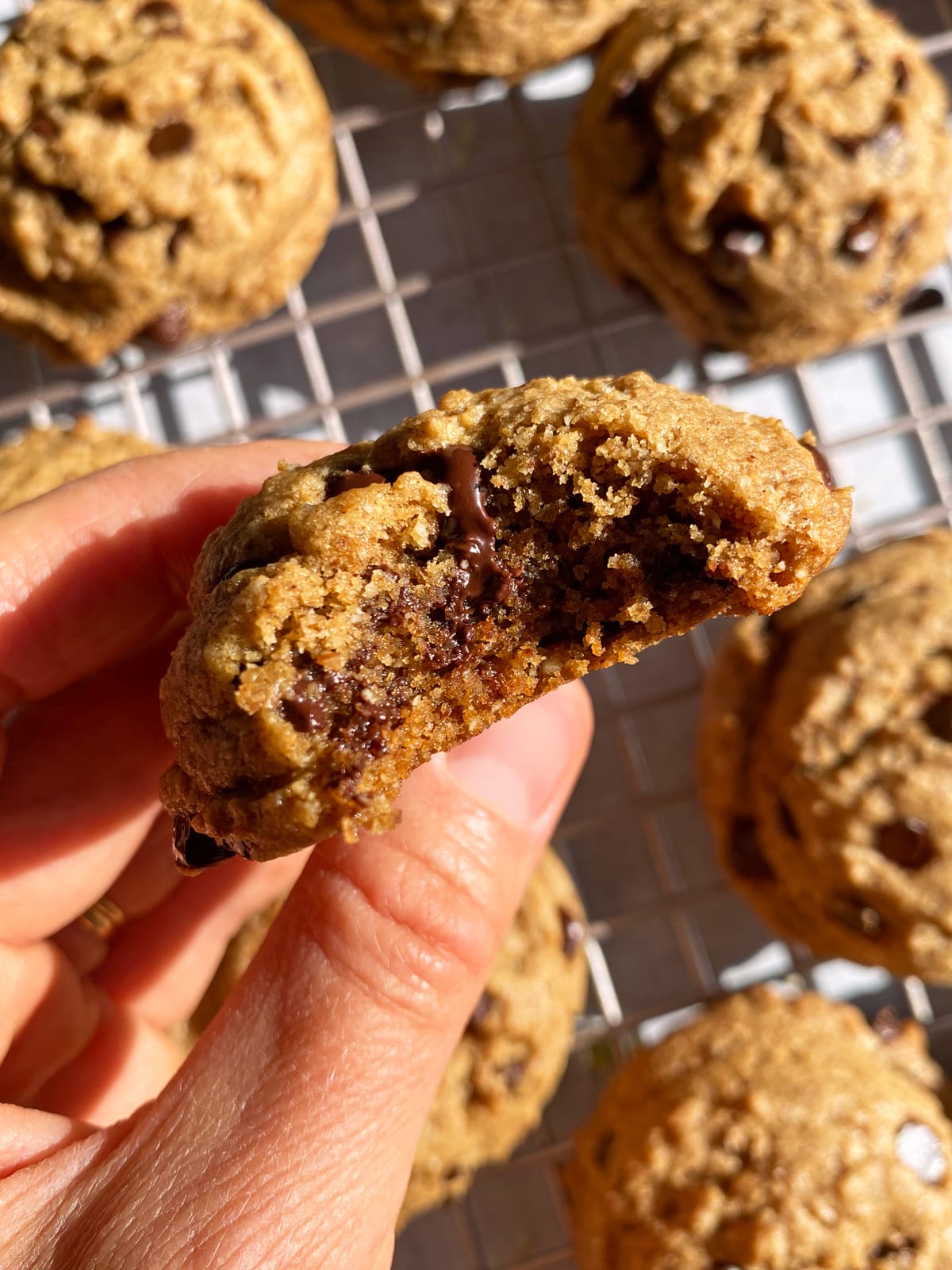 Bite of a chocolate chip cookie.