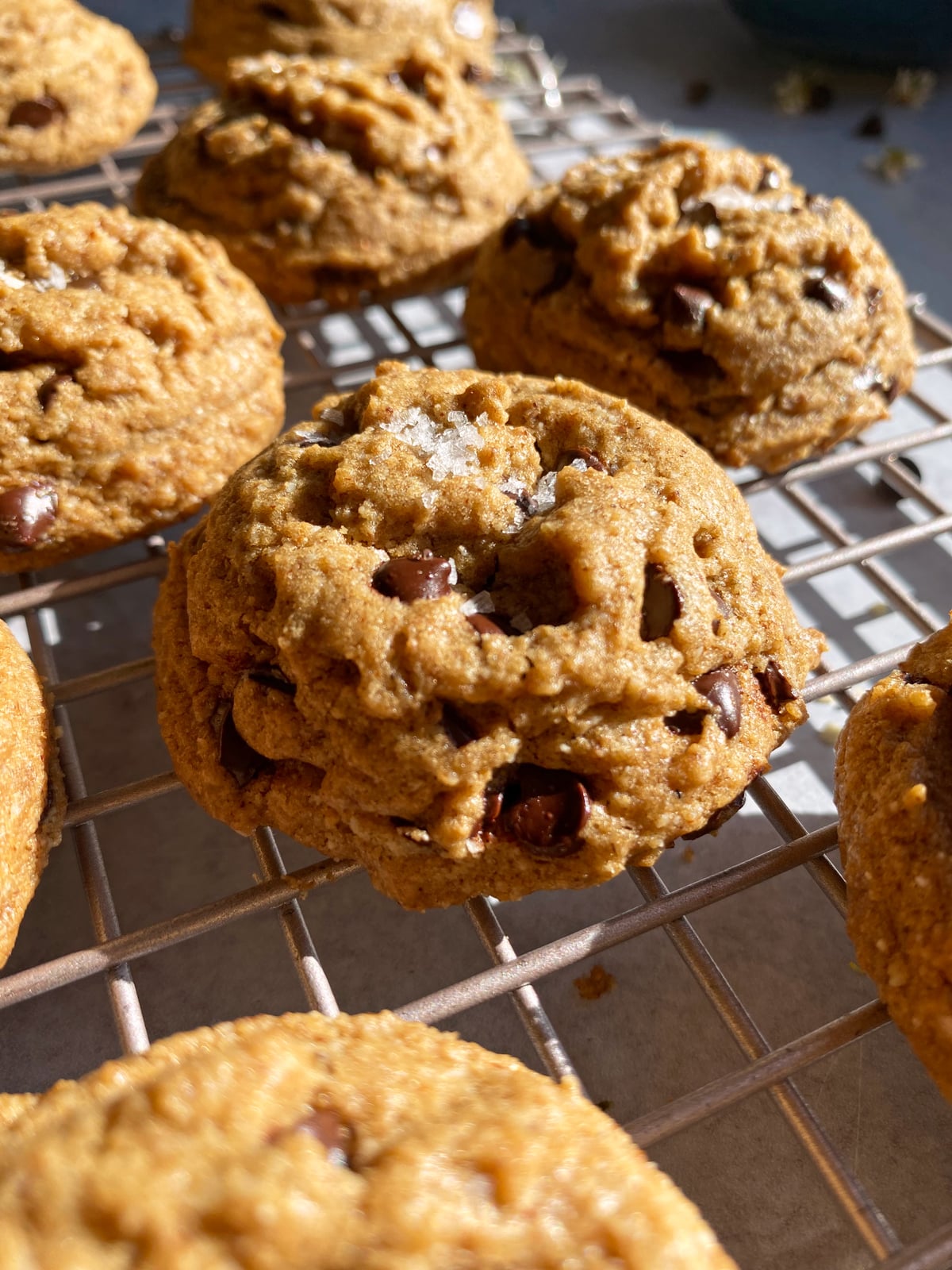 Side view of cookies.