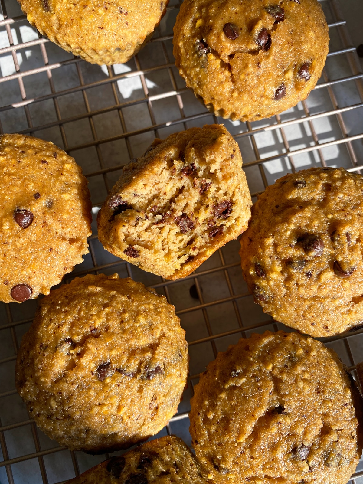 Baked chocolate chip plantain muffins on wire cooling rack.