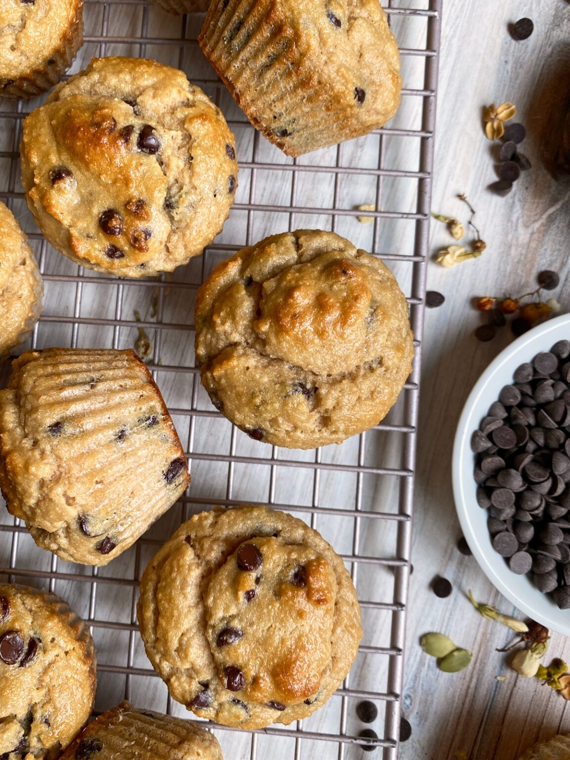 Healthy Chocolate Chip Applesauce Muffins (Gluten Free) Bake It Paleo