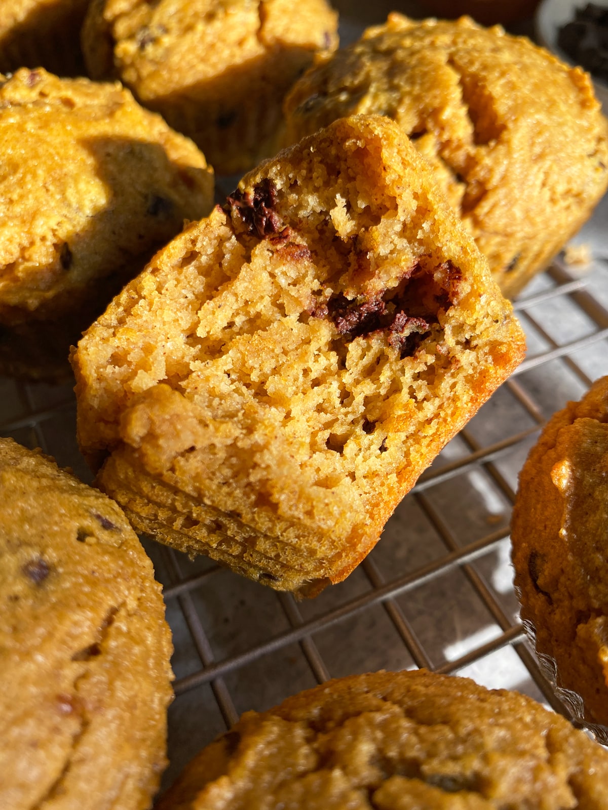 Soft and chewy pumpkin muffin with a bite out of it.