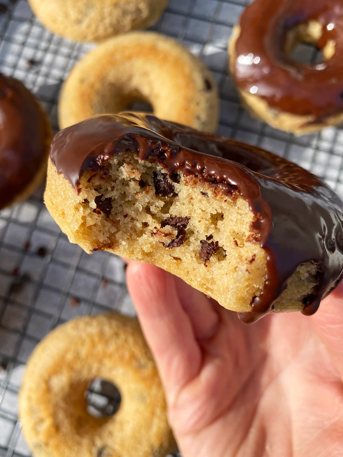 Bite of a donut to show the inside texture and dispersed chocolate chips.