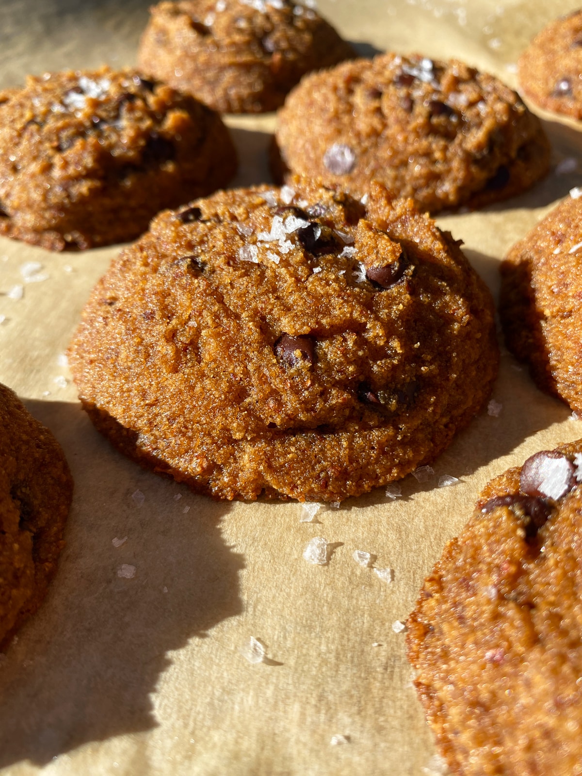 Healthy almond pulp cookies topped with flaked salt.