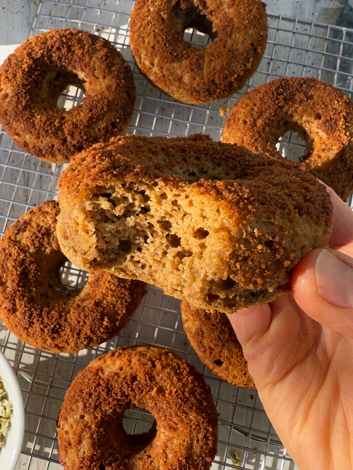 Bite of a donut to show the inside texture.