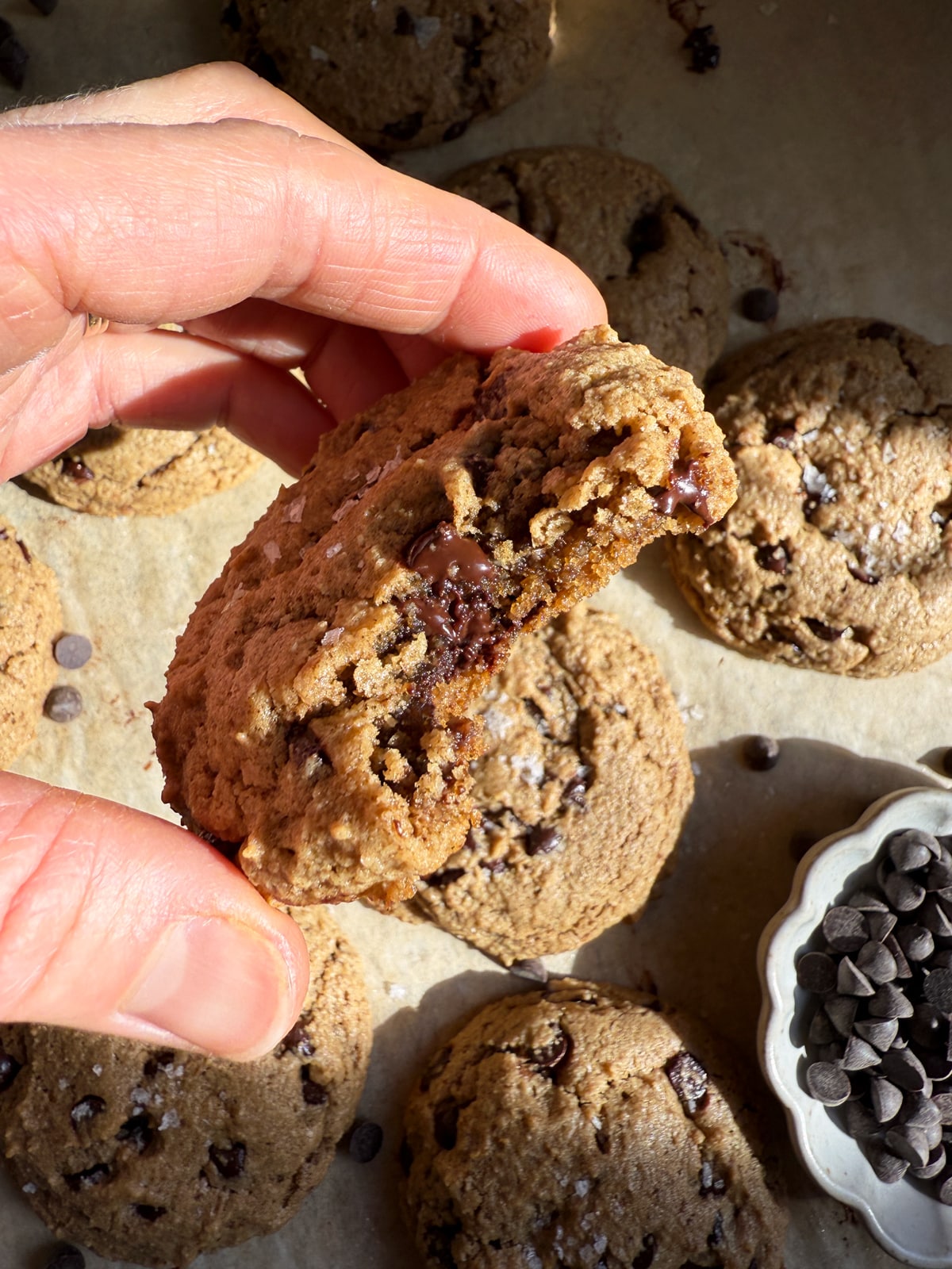 Holding a cookie with a bite.