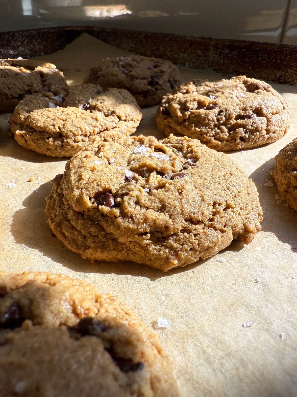 Side view of freshly baked cookies.