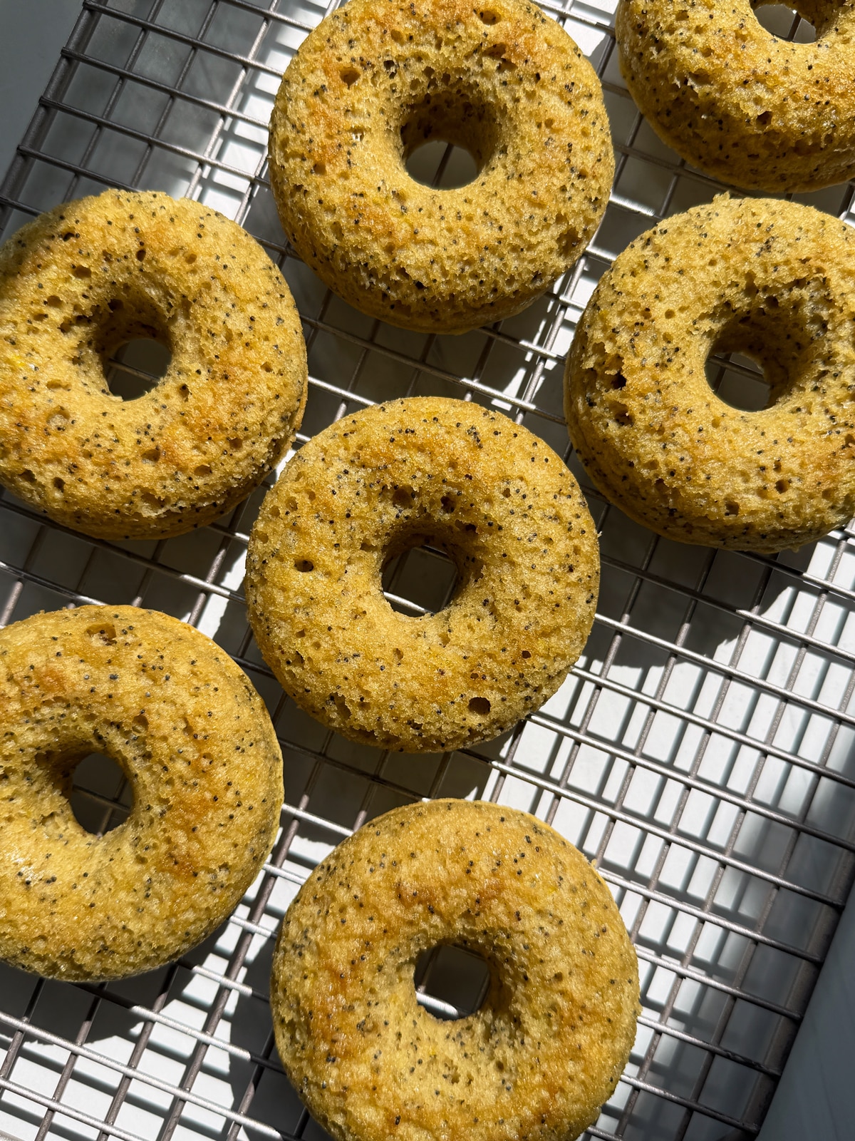 Freshly baked donuts on wire cooling rack.