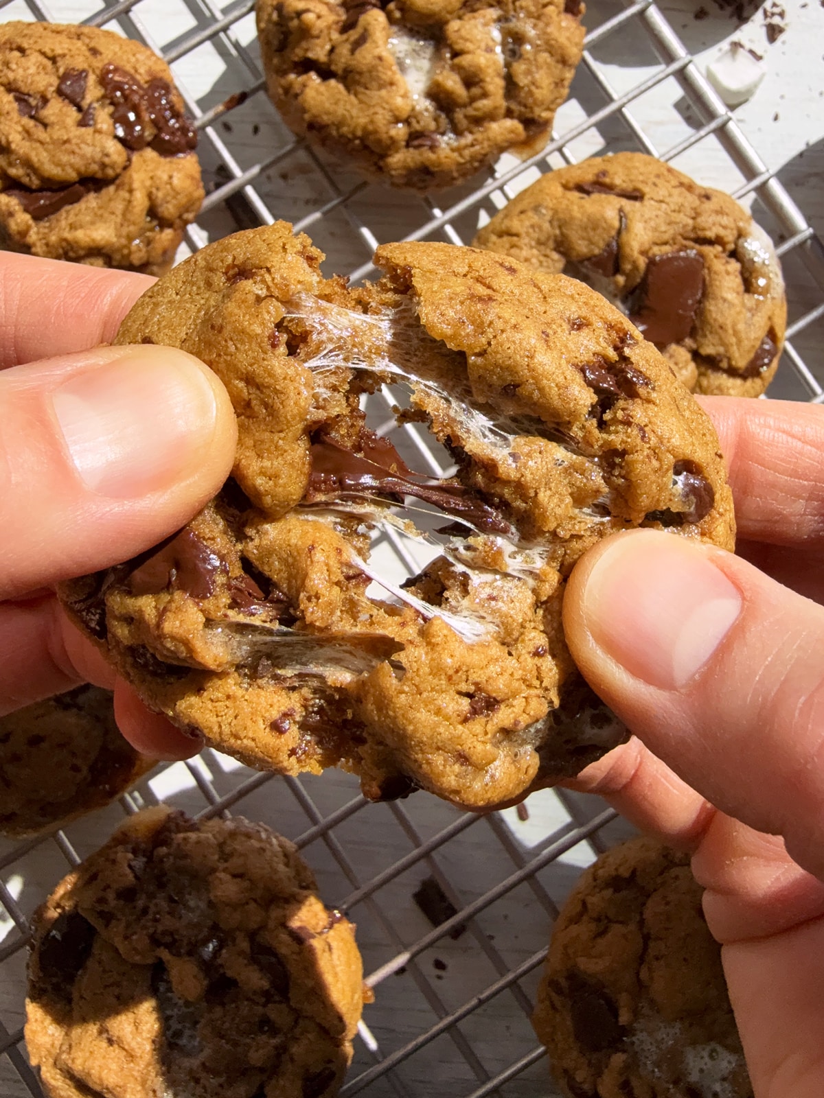 Pulling apart a cookie to show the gooey marshmallows and chocolate.