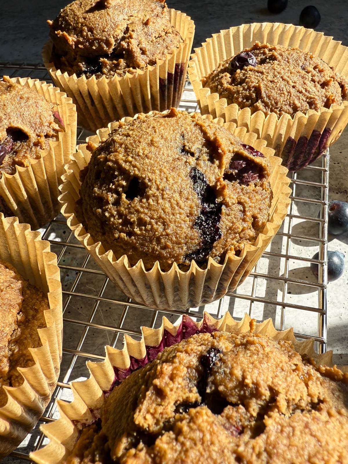 Tigernut blueberry muffins.