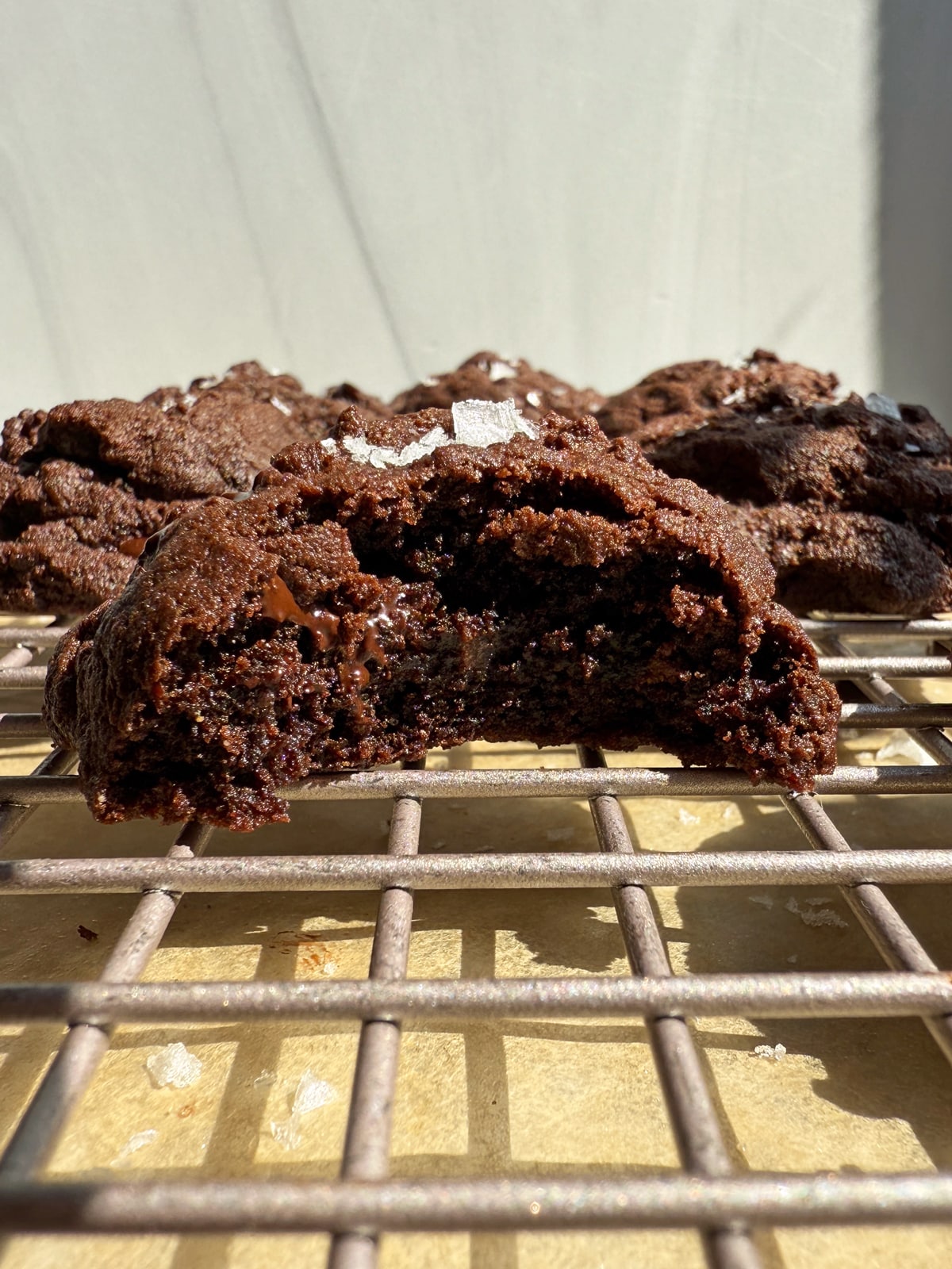 Bite of a cookie to show the inside texture.