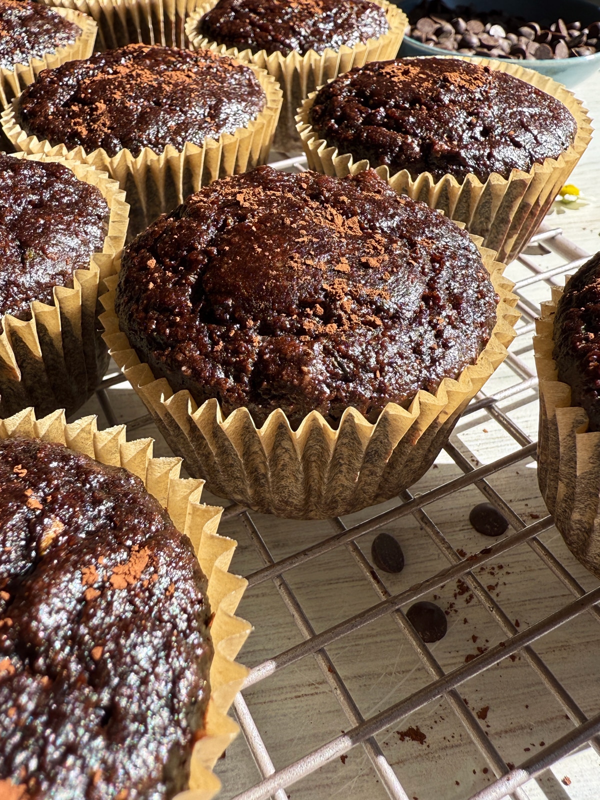 Freshly baked chocolate zucchini muffins.