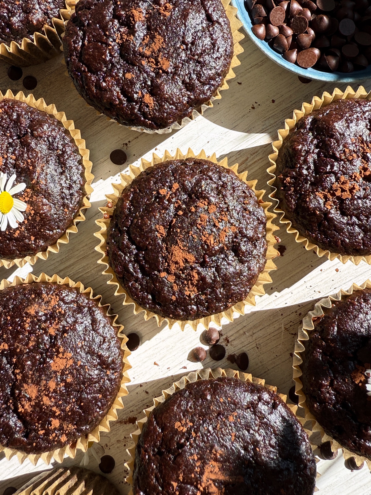 Top view of muffins.