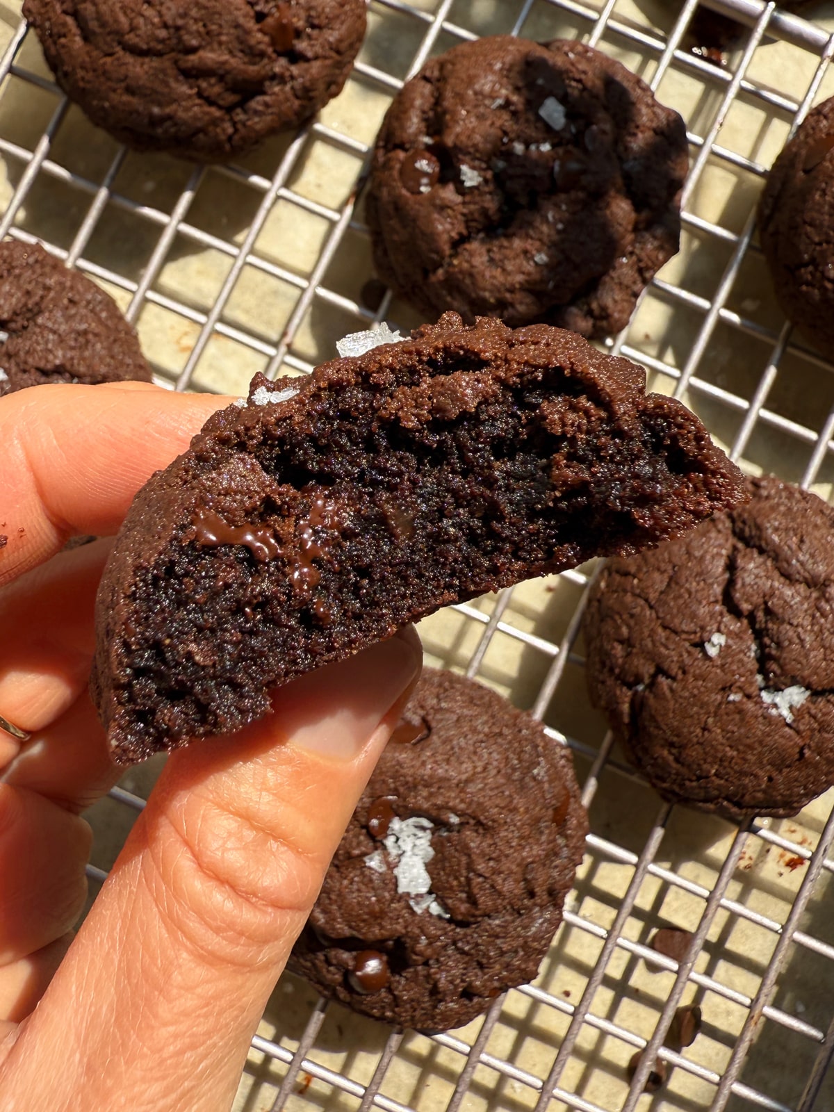 Holding a cookie with a bite out of it to show the inside texture.