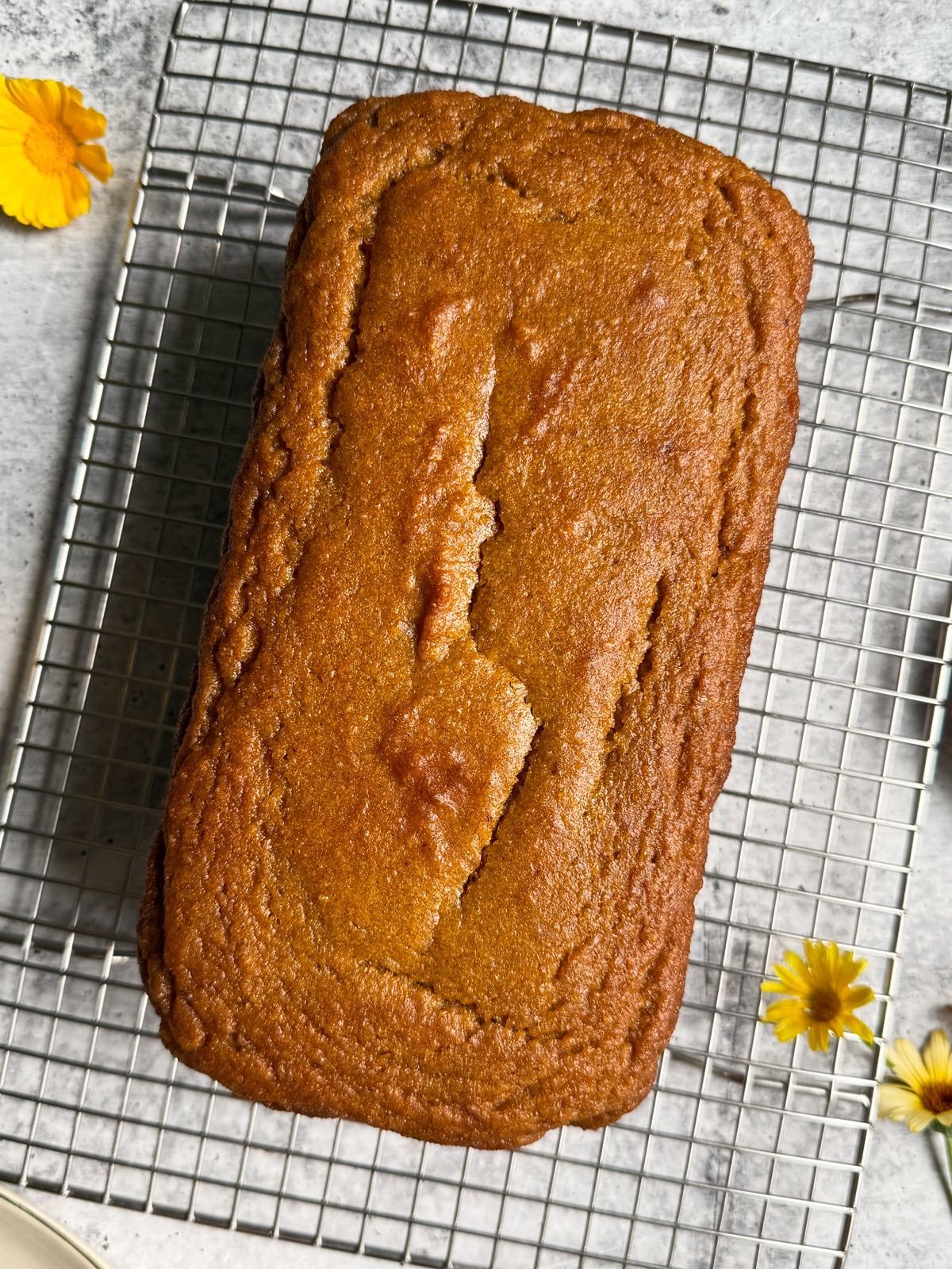 Freshly baked loaf on cooling rack.