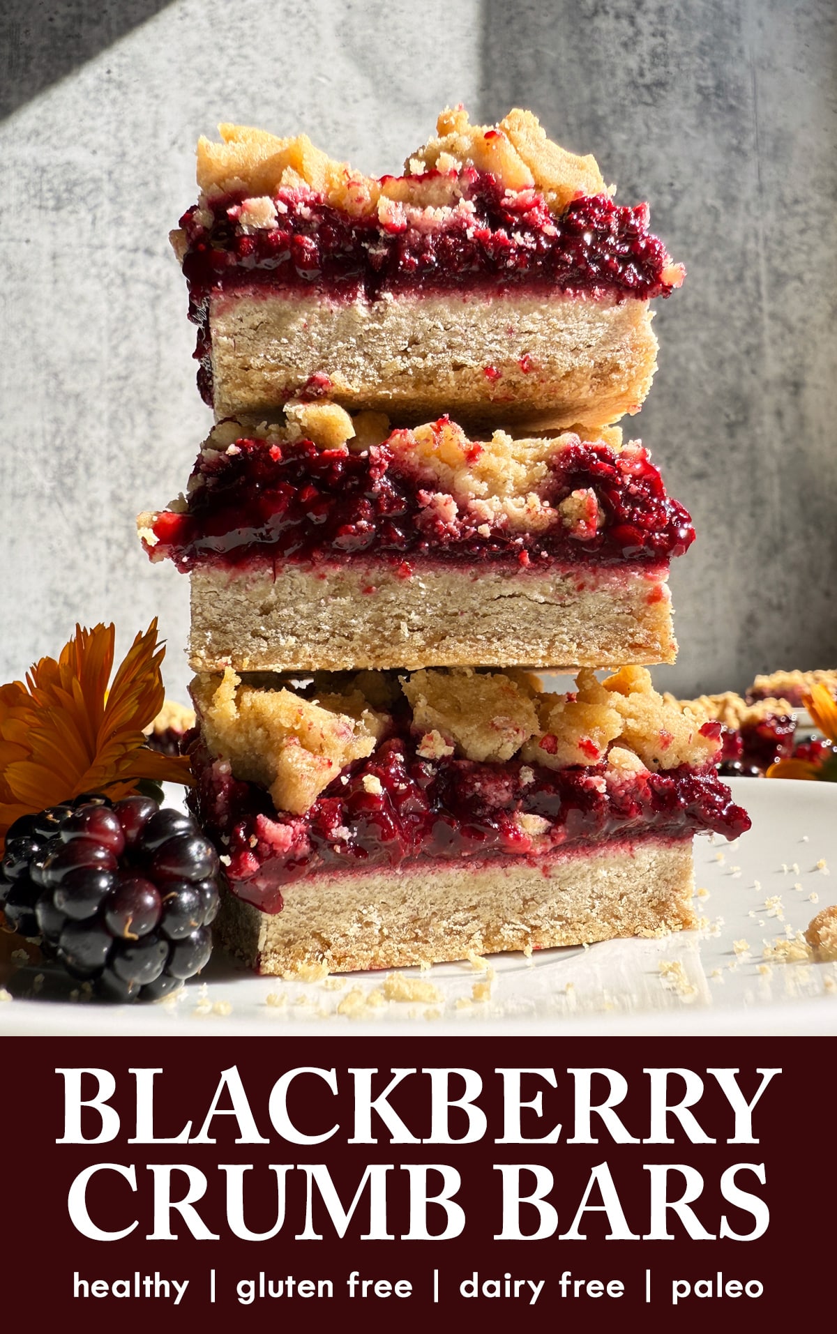 Pinterest image for healthy blackberry crumb bars.
