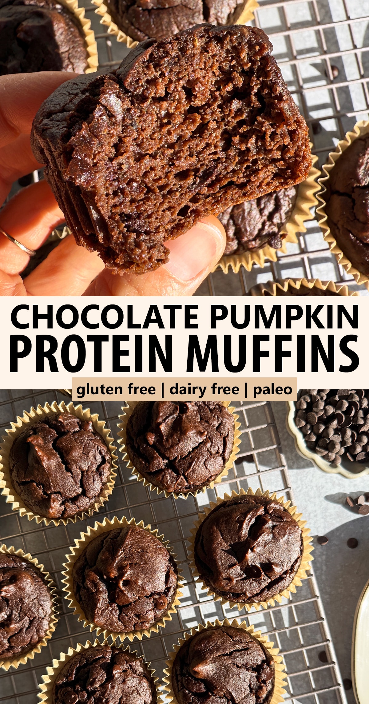Pinterest image for chocolate pumpkin protein muffins.