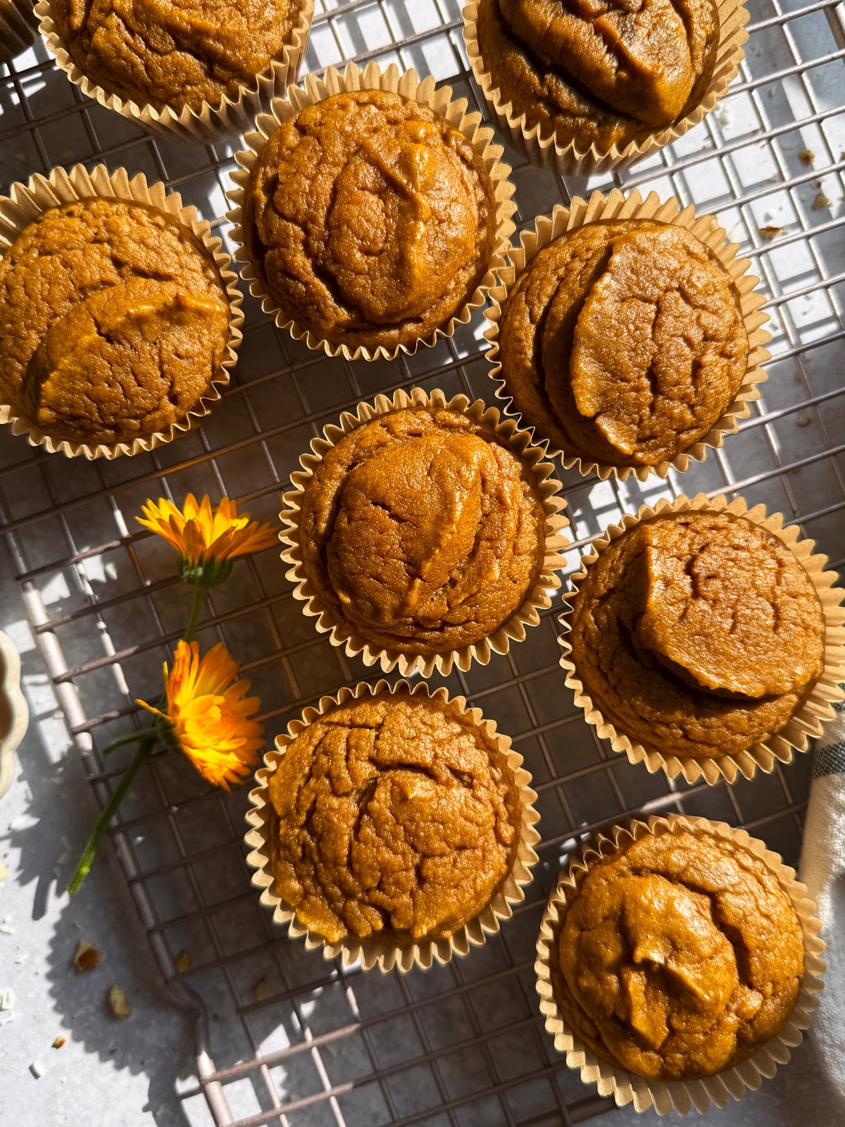 Top view of pumpkin protein muffins on wire cooling rack.