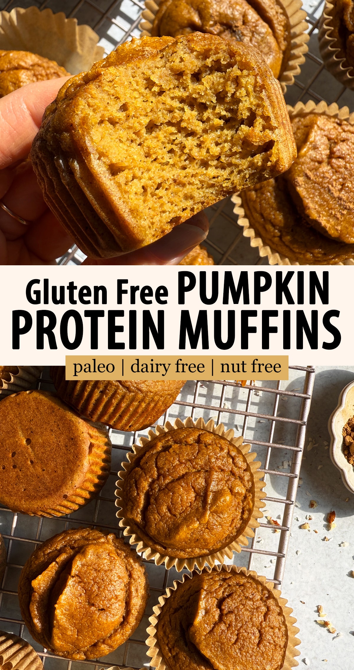 Pinterest image for gluten free pumpkin protein muffins.