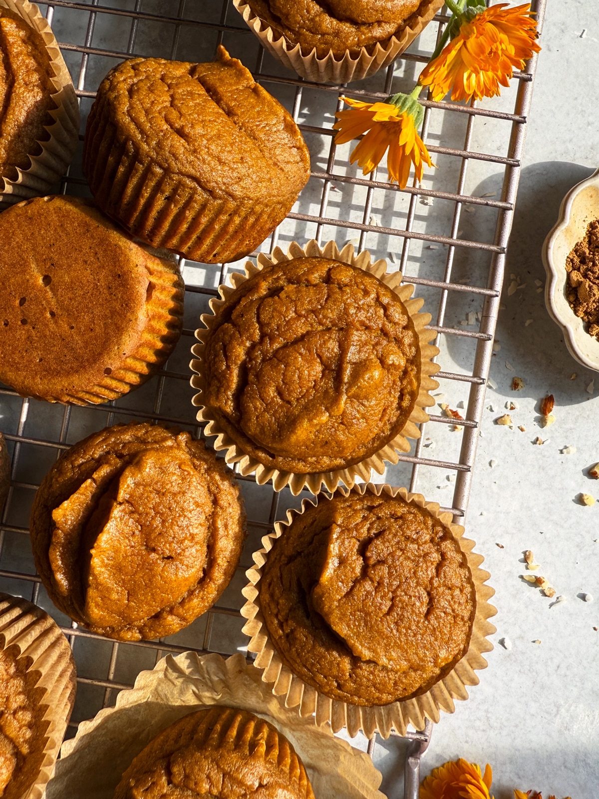 Paleo pumpkin protein muffins on wire rack.