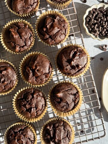 Chocolate pumpkin protein muffins on wire cooling rack.