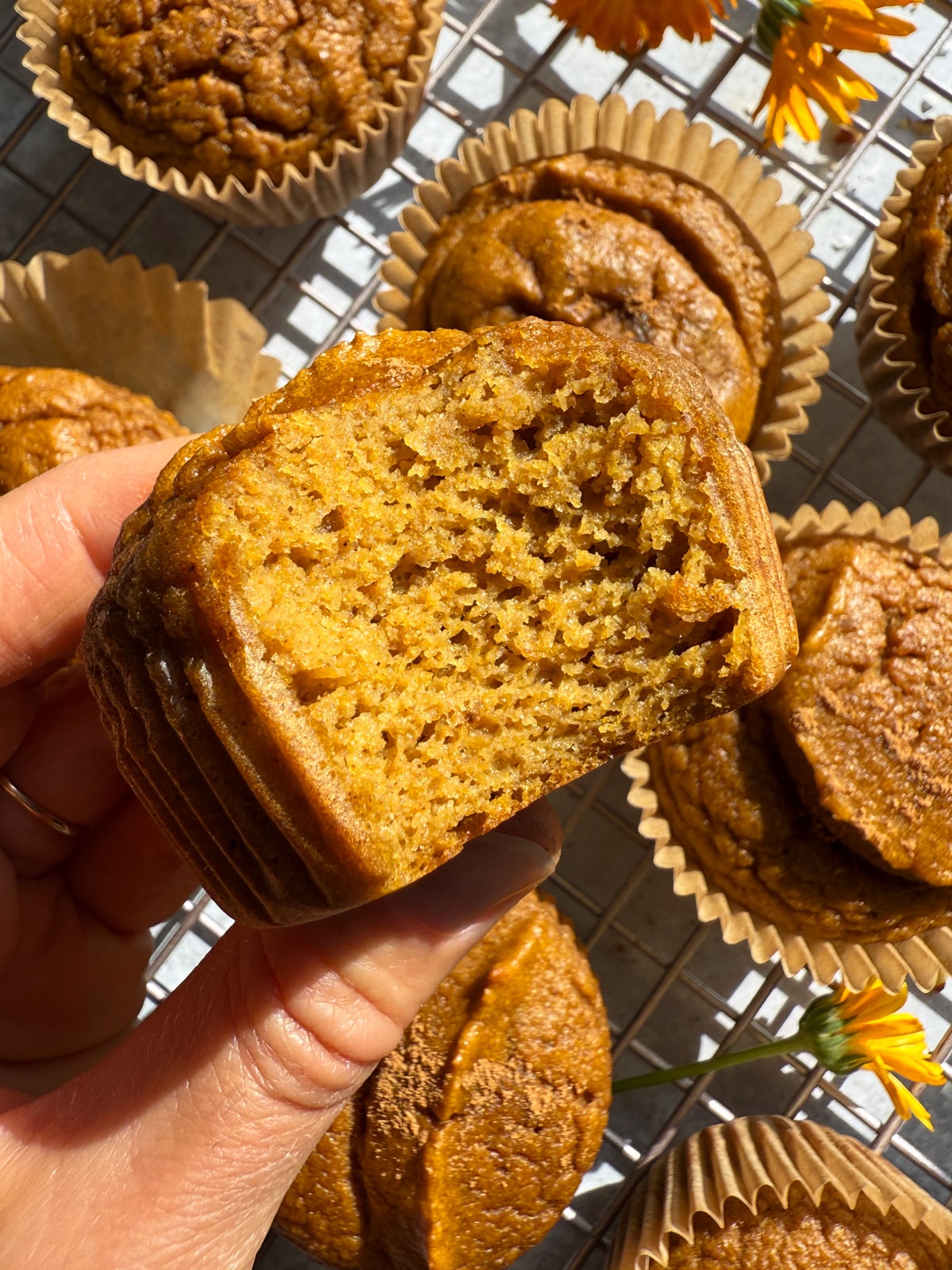 Holding a muffin with a bite out of it to show the inside texture.