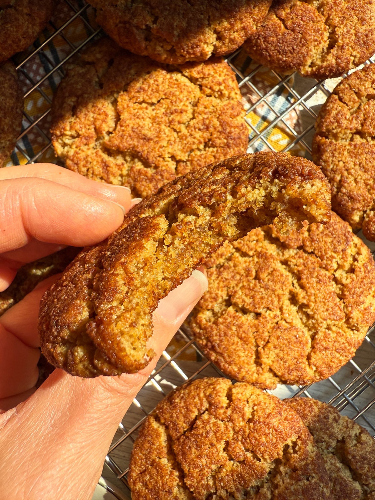 Holding a cookie with a bite out of it to show the inside texture.